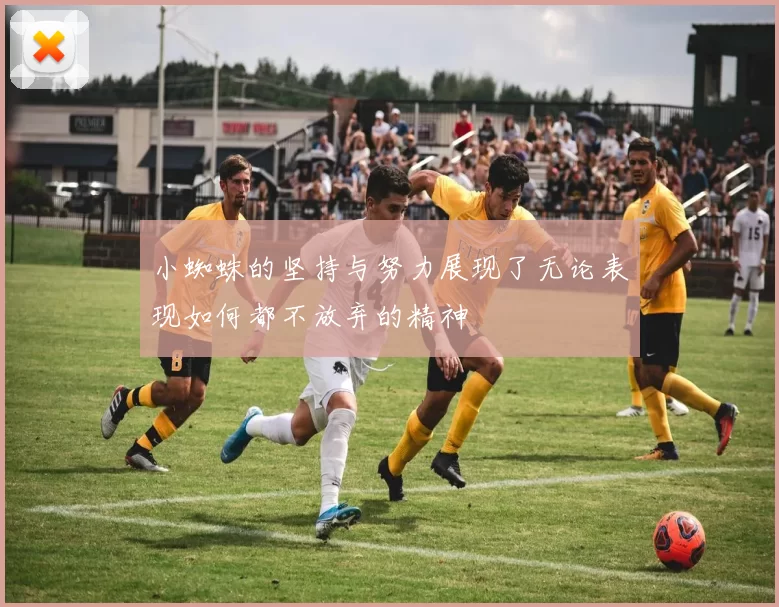 小蜘蛛的坚持与努力展现了无论表现如何都不放弃的精神