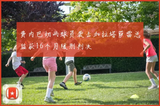 费内巴切两球员袭击加拉塔萨雷总监获16个月缓刑判决